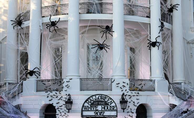 La Maison Blanche recouverte de toiles d'araignées en 2017