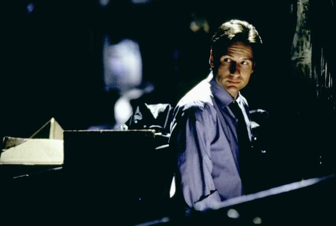 David Duchovny plus connu pour le rôle de l'agent Fox Mulder dans la série X-files, les frontières du réel, incarnait l'un des personnages principaux