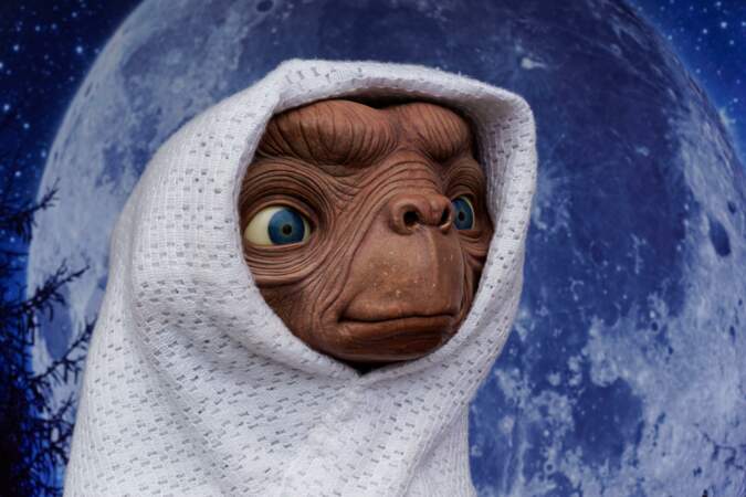E.T. l'extra-terrestre fait partie des grands classiques du cinéma. Réalisé par Steven Spielberg en 1982, il a eu droit à une relecture en 2022 à l'occasion des vingt ans de sa sortie. L'occasion de s'intéresser au parcours des stars du film 