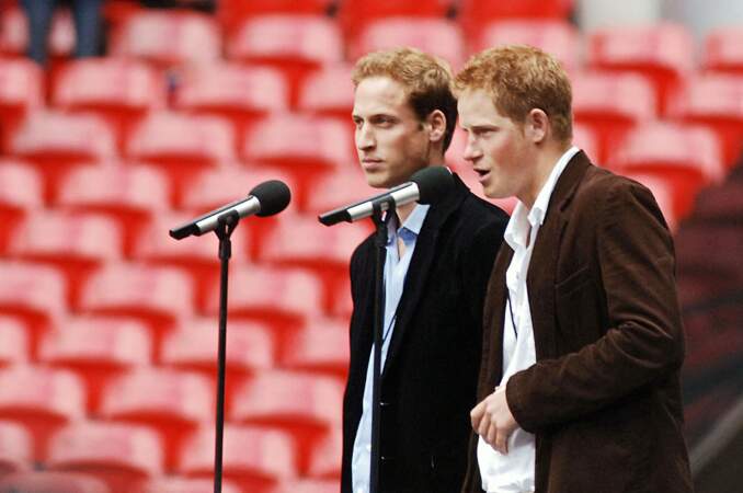 En 2007, ils organisent un concer de charité en mémoire de leur défunte mère, la princesse Diana. Les deux frères sont soudés et sur la même longueur d'ondes