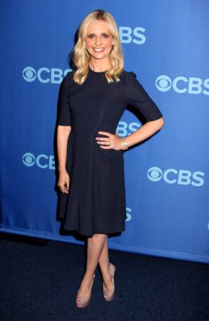 Fin 2013, Sarah Michelle Gellar (36 ans) obtient le rôle principal dans la série télévisée The Crazy Ones, une sitcom diffusée sur CBS.