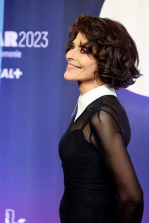 Fanny Ardant est nommée dans la catégorie meilleure actrice pour son rôle dans le film Les jeunes amants - La 48ème cérémonie des César