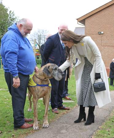 Kate Middleton caresse un gros chien au centre de réhabilitation Brynawel à Llanharan, au Pays de Galles, le 28 février 2023