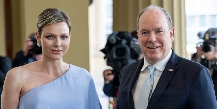 En 2010, Le prince Albert II de Monaco annonce ses fiancailles avec Charlène Wittstock, une nageuse sud-africaine. Depuis, ils ont eu deux enfants.