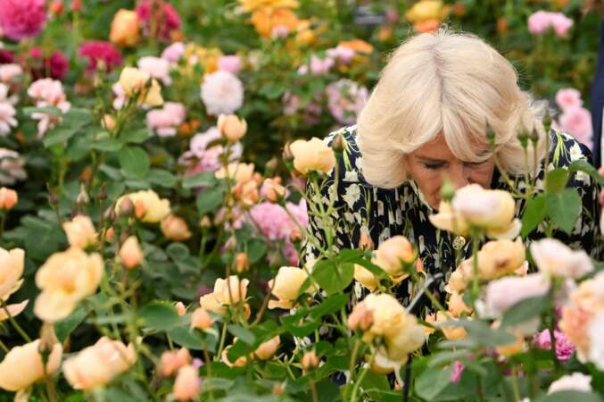 La reine Camilla a beaucoup apprécié les douces odeurs qui émanaient des fleurs.