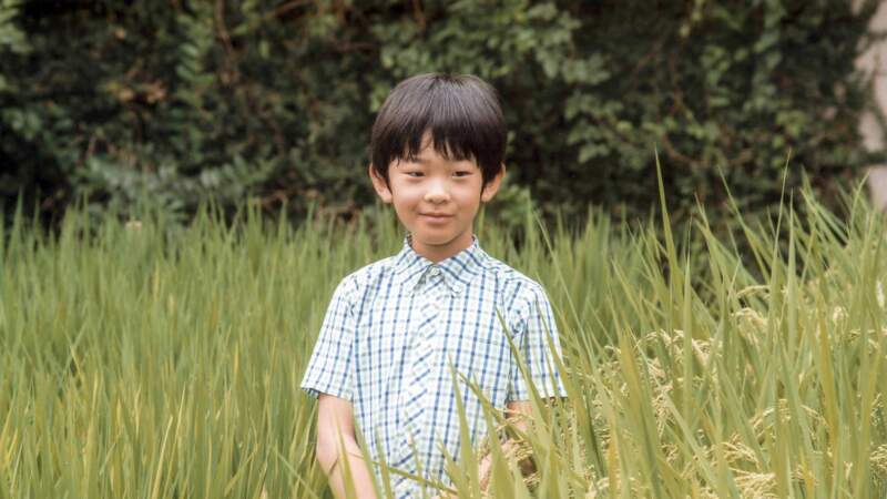 Le prince Hisahito du Japon est le troisième enfant du couple princier et deuxième dans l'ordre de succession après son père