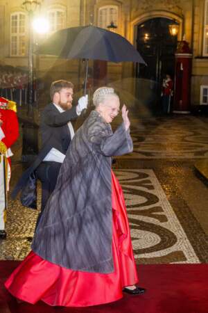La reine Margrethe a suscité l'étonnement de la plupart des gens le soir du Nouvel An lorsque, dans ce qui devait être son dernier discours du Nouvel An, elle a annoncé qu'elle abdiquait.