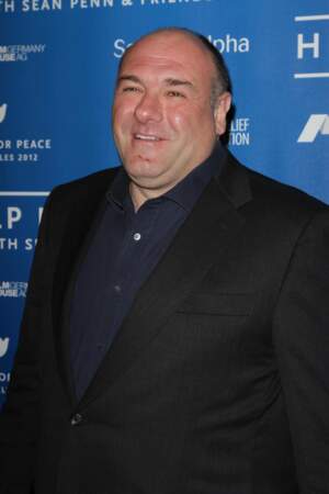 James Gandolfini, interprète de Tony Soprano, est décédé en 2013.