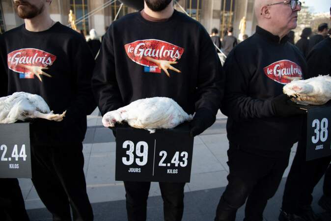 Des militants des droits des animaux tiennent des poulets morts lors de la manifestation appelée par l'association française de défense des animaux L214 sur l'esplanade des Droits de l'Homme du Trocadéro à Paris
