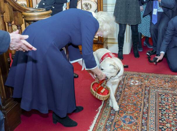La reine Camilla caresse un chien présent lors de l'événement.