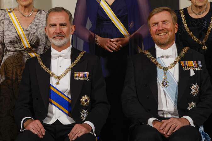 Le roi d'Espagne Felipe VI et Le roi Willem-Alexander prennent la pose pour le portrait officiel.